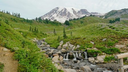 Mount Rainier National Park Announces Timed Entry Reservations for Summer 2024