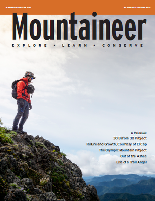 Capture.PNG Capture.PNG