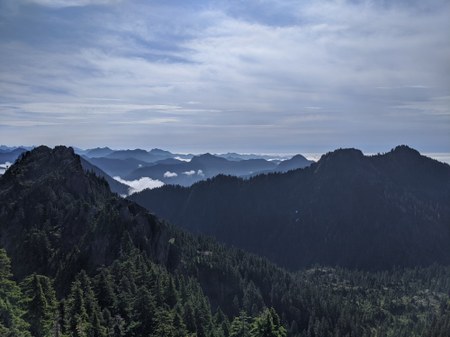Mountaineers Conservation Director Appointed to Northwest Forest Plan Advisory Committee