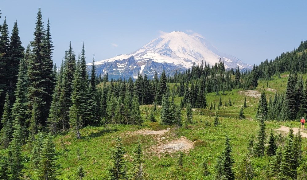 Olympia Branch Open House - Jan 6, 2026