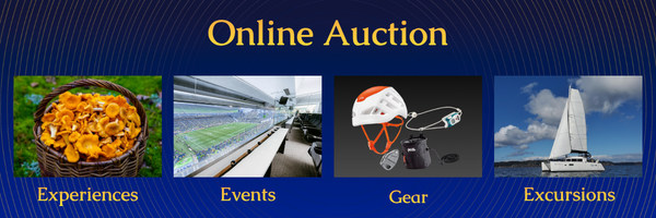 Online Auction Preview Banner.png