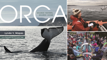 Orca: Shared Waters, Shared Home Lauches June 1