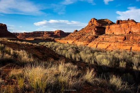 Protections Restored for Bears Ears, Grand Staircase-Escalante National Monuments