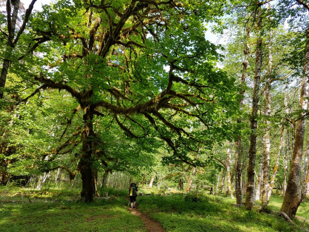Safety Stories | Beware of Slugs