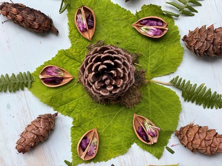 Scholarships Empower Kids Like Izy