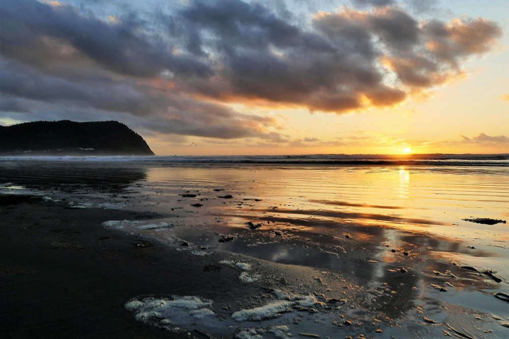 Seattle Photography Committee Featured Member - March 2018