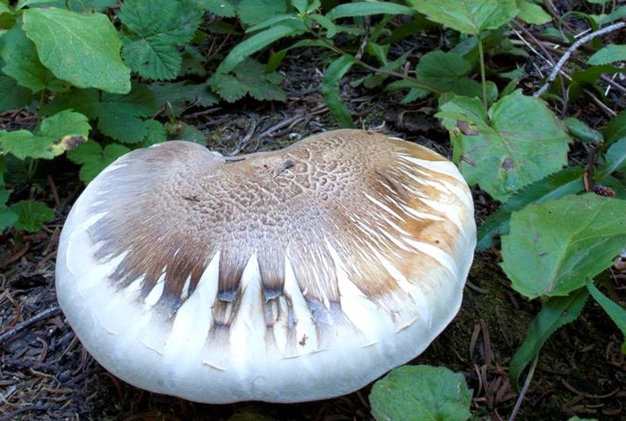 Seattle Photography Committee January Member of the Month