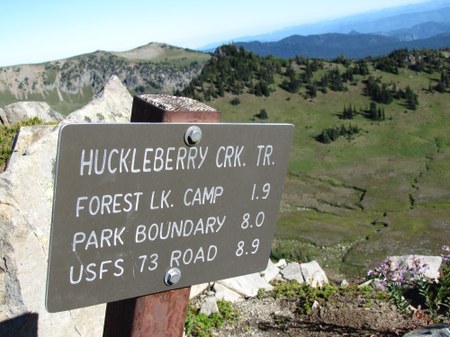 Secret Rainier | Huckleberry Creek Trail