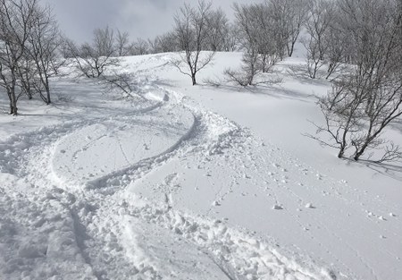 Powder Skiing in Hokkaido, Japan! Feb 7-21,2018
