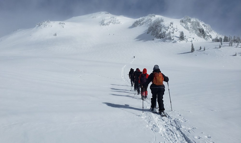 Snowshoeing in Paradise: A Snowy Path to Kindred Spirits