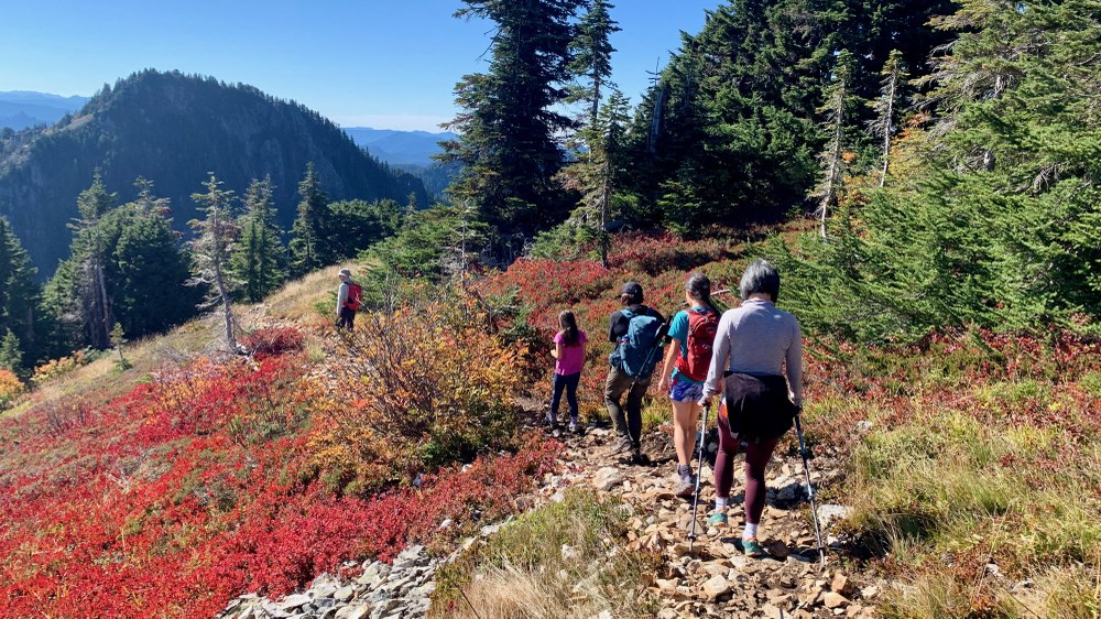 Speak Up for Regional Staff and Expertise at the Forest Service