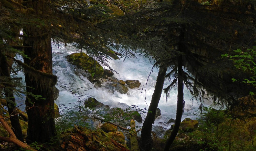 Standing Together During High Water