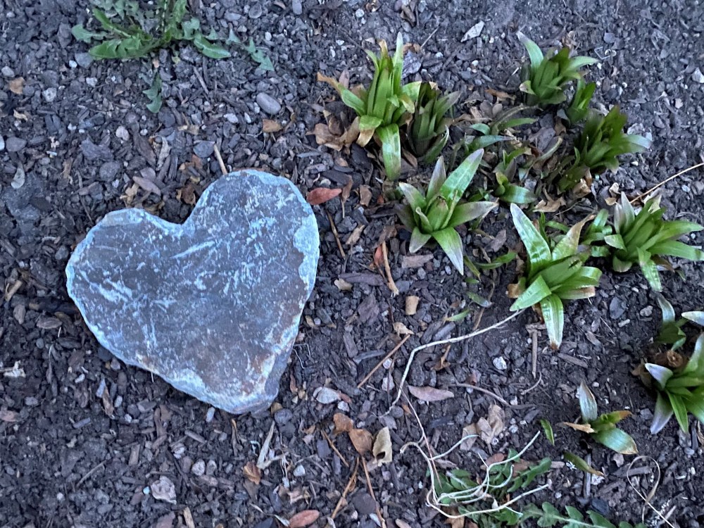 Thank You! 22K Raised to Support Access to the Outdoors