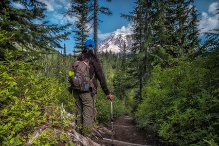 The Day Hiker's Ten Essentials