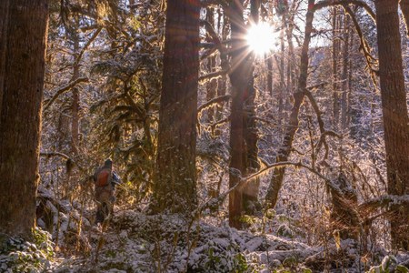 Winter's Beauty on the Old Sauk Trail