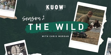 The Wild Season 2 Launch Party - Feb 28