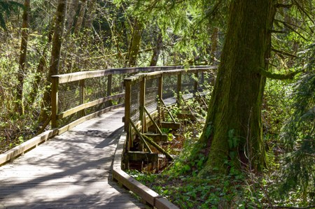 Three Best Stroller-Accessible Hikes in Western Washington