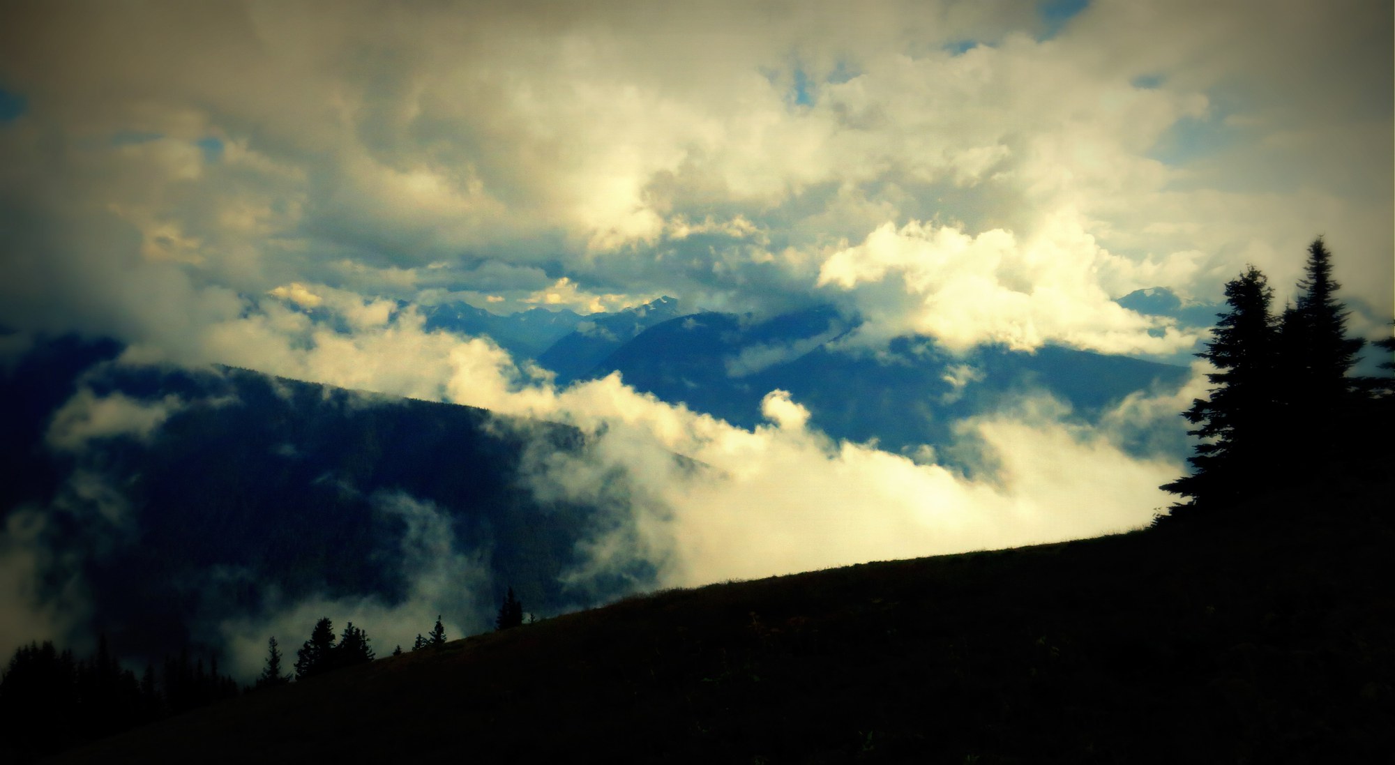 Tips and Tricks Nighttime Trail Running — The Mountaineers