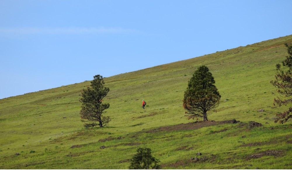 Top 10 Trip Reports - March 2026