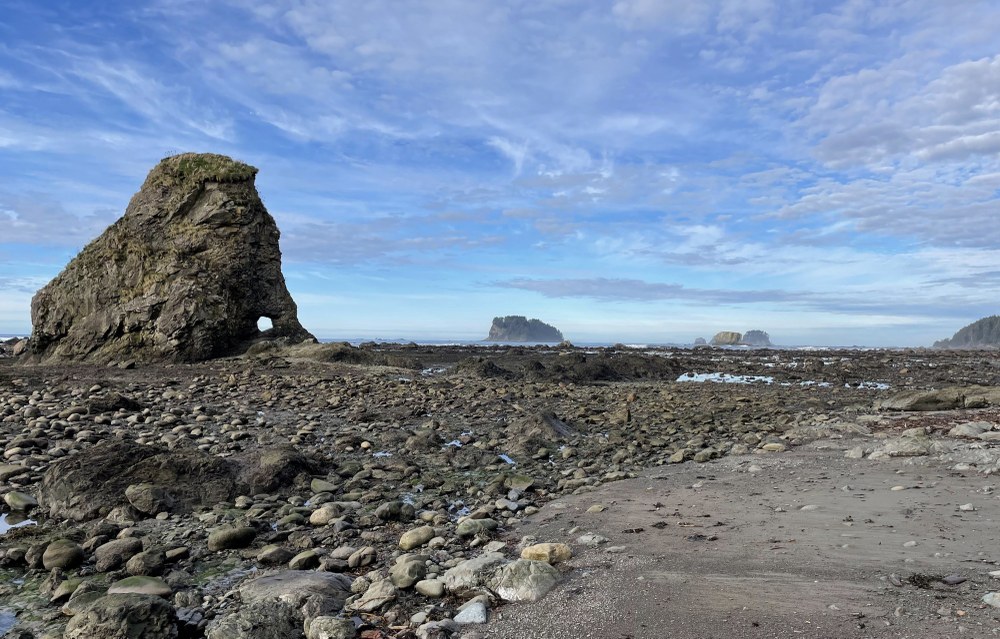Trip Report: Backpacking the Hoh River to Neah Bay