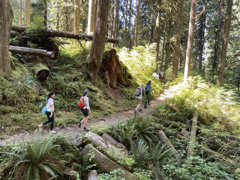 Trip Report: Hiking With Rep. Rick Larsen in the North Cascades
