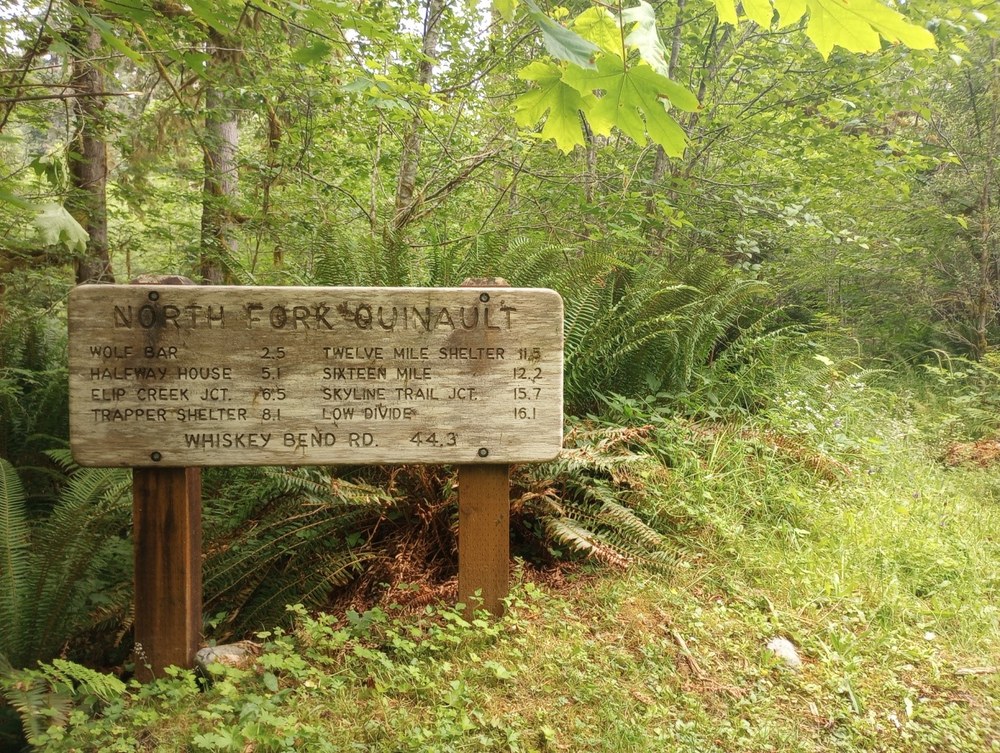 Trip Report: North Fork Quinault River to Wolf Bar