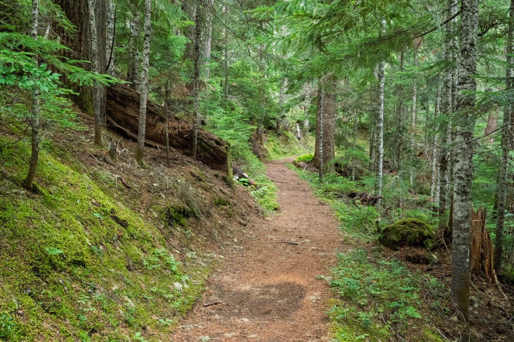 Trip Report: The Owyhigh Trail, Mount Rainier