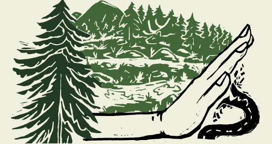 Upcoming Events to Protect Roadless Forests