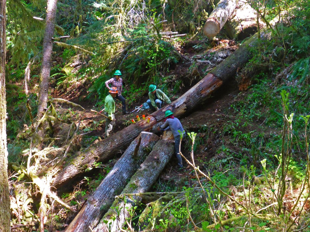 Update on the 2018 Stewardship Challenge