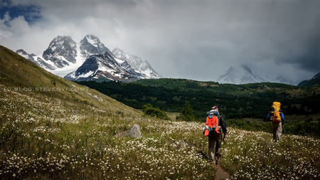 Walking the Wild Series -  Trekking in Patagonia with Steve Yi - June 1