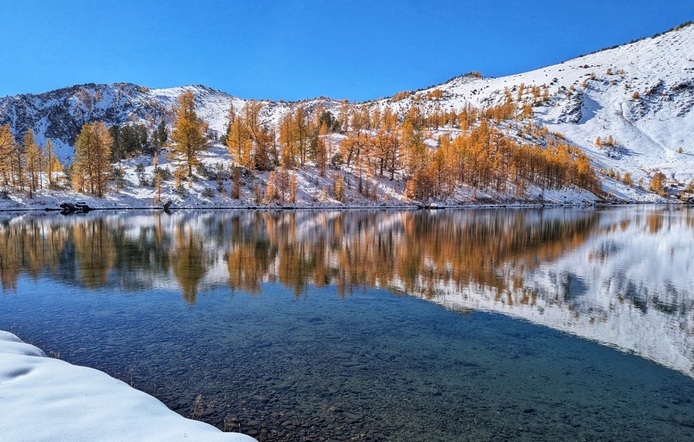 Why Your Year-End Gift Matters