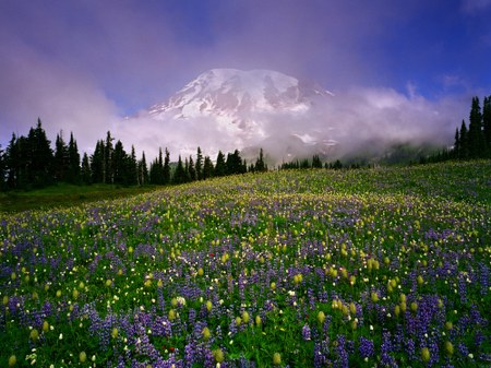 Mt. Rainier Wilderness Camping and Climbing Permits First-Come, First-Served for 2016