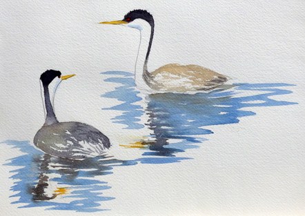 Colors of the West Artist Lecture with Molly Hashimoto in Olympia