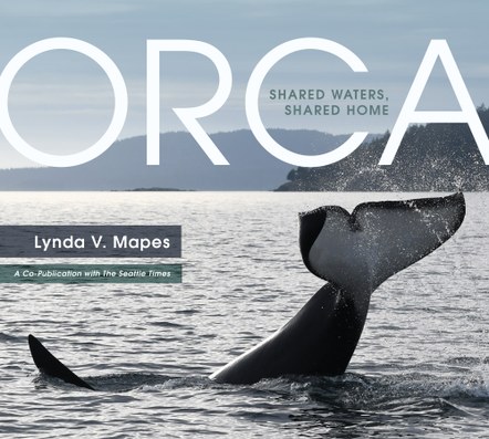 Orca: Shared Waters, Shared Home | Author Talk