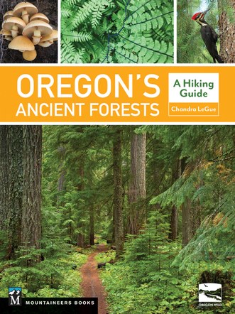 Exploring Oregon's Ancient Forests: Cape Perpetua