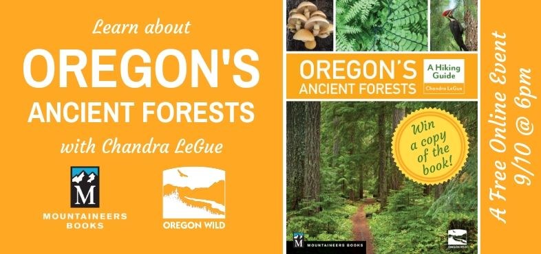 OREGON'S ANCIENT FORESTS