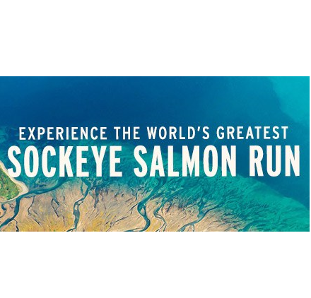 Experience the World's Greatest Salmon Runs