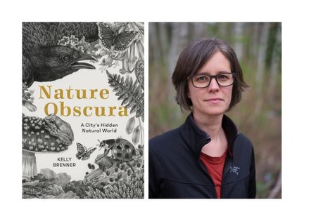 Kelly Brenner in conversation with Seattle Audubon