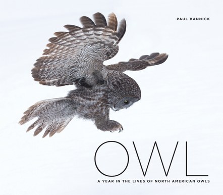 Paul Bannick: A Year in the Lives of North American Owls