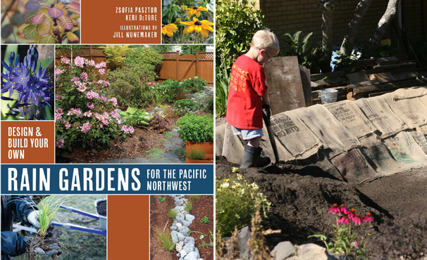 Rain Gardens for People, Salmon and Orcas: A #WeArePugetSound web event