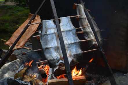 Return of the Salmon: The Human Connection