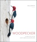 Woodpecker | Paul Bannick at Wings Over Water