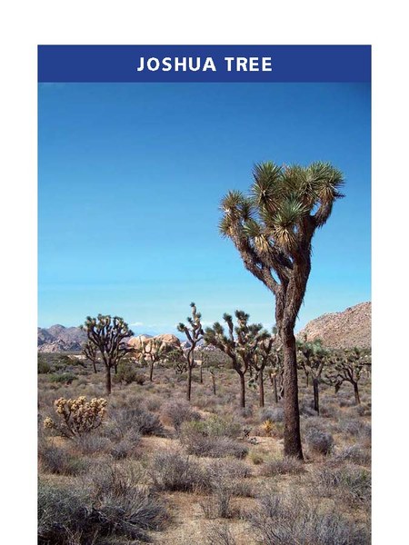 100 Classic Hikes S California_Page_056.jpg