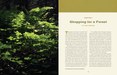 ForestOfYourOwn_Spreads2-1.jpg
