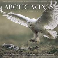 Arctic Wings: Birds of the Arctic National Wildlife Refuge