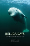 Beluga Days: Tracking the Endangered White Whale