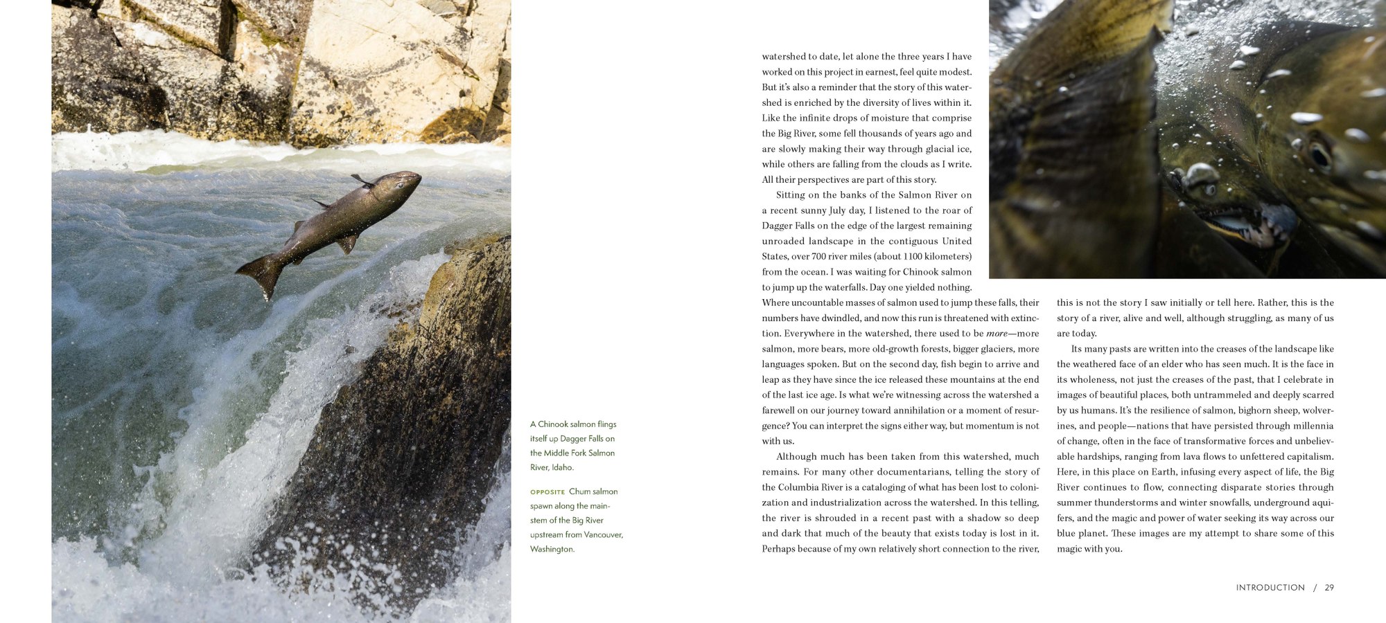 Big River SAMPLE spreads_Part3.jpg