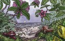 CascadeOfLife_Spreads-2.jpg