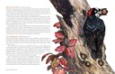 CascadeOfLife_Spreads-3.jpg