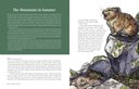 CascadeOfLife_Spreads-4.jpg